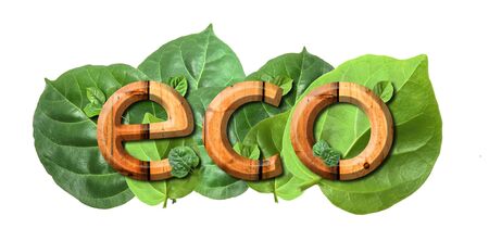 eco wood texture and green leafの写真素材