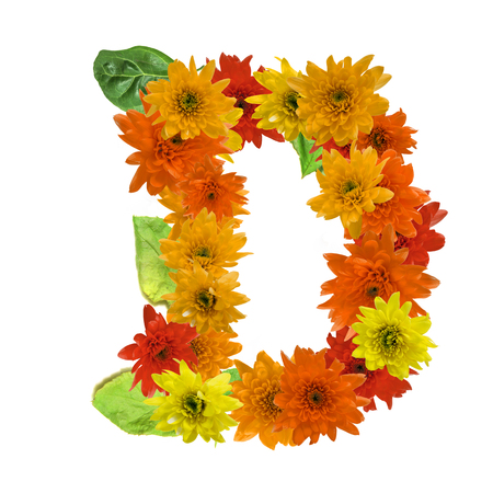 D flower alphabet hot tone isolated on white background.の写真素材