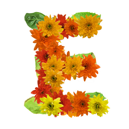 E flower alphabet hot tone isolated on white background.の写真素材