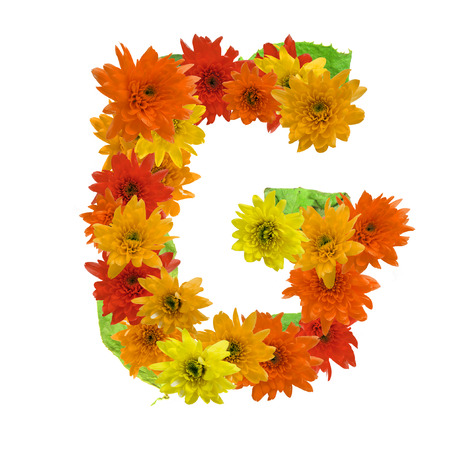 G flower alphabet hot tone isolated on white background.の写真素材