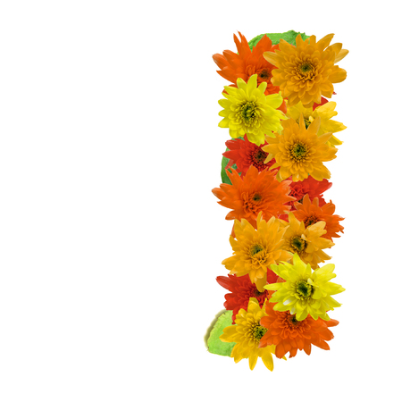 I flower alphabet hot tone isolated on white background.の写真素材
