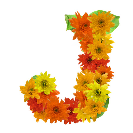 J flower alphabet hot tone isolated on white background.の写真素材
