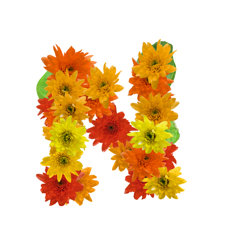 N flower alphabet hot tone isolated on white background.の写真素材