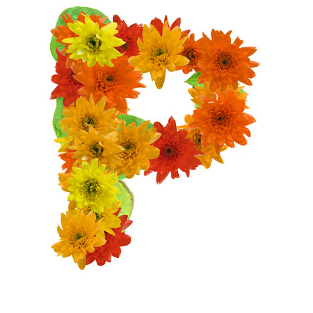 P flower alphabet hot tone isolated on white background.の写真素材