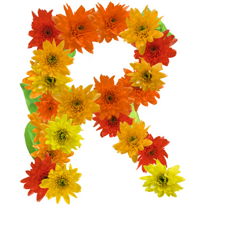 R flower alphabet hot tone isolated on white background.の写真素材