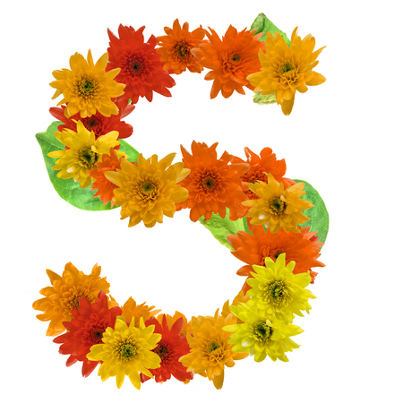 S flower alphabet hot tone isolated on white background.の写真素材