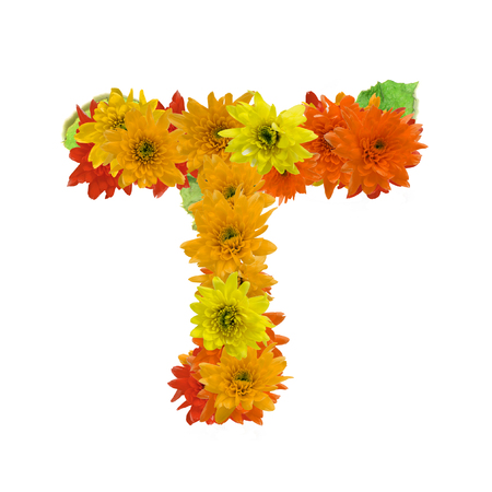 T flower alphabet hot tone isolated on white background.の写真素材