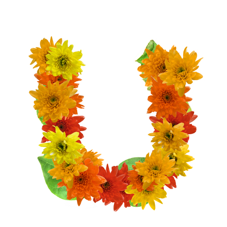 U flower alphabet hot tone isolated on white background.の写真素材