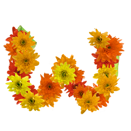 W flower alphabet hot tone isolated on white background.の写真素材