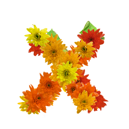 X flower alphabet hot tone isolated on white background.の写真素材
