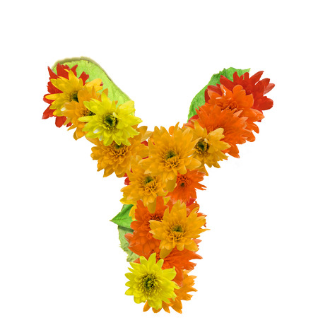 Y flower alphabet hot tone isolated on white background.の写真素材
