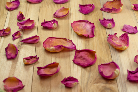 dried rose petals on wood groundの写真素材