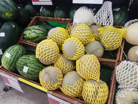 Group of Fresh organic green cantaloupe melons and big ball with wrapped shockproof on the supermarket. and watermelonの写真素材