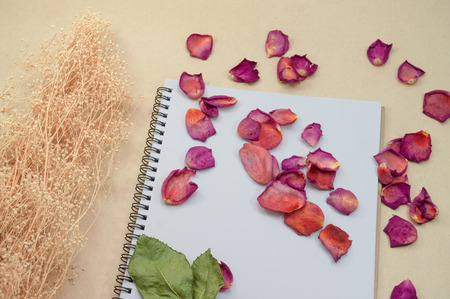 Black notepad. Realistic template notebook. Blank cover design. with dried rose petals and leaf. on cardboard background.の写真素材