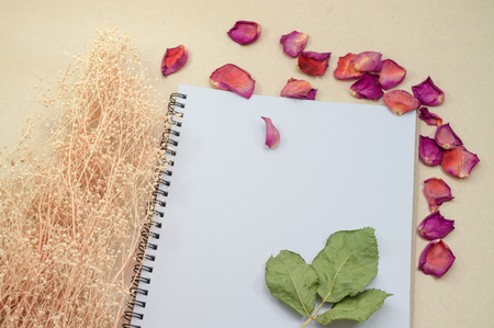 Black notepad. Realistic template notebook. Blank cover design. with dried rose petals and leaf. on cardboard background.の写真素材