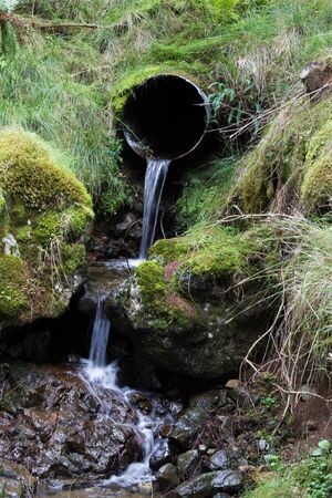 Large drainage pipe outlet in natural woodland