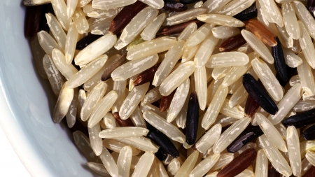 Close up of Germinated Brown Rice with Germ or Embryoの写真素材