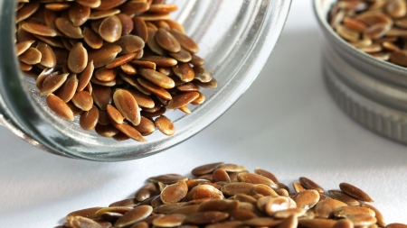 Flax Seedの写真素材
