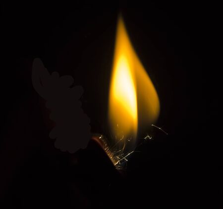 Flame dancing on black