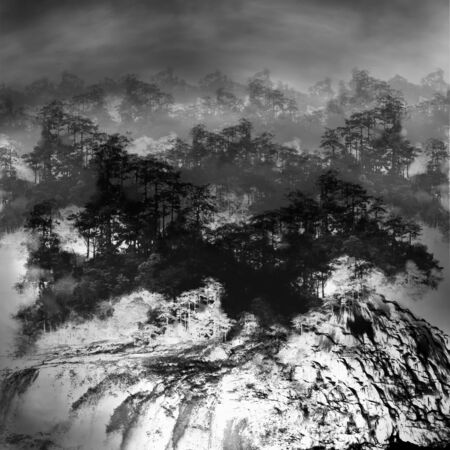 Black and white minimalist sketch of forest and waterfall