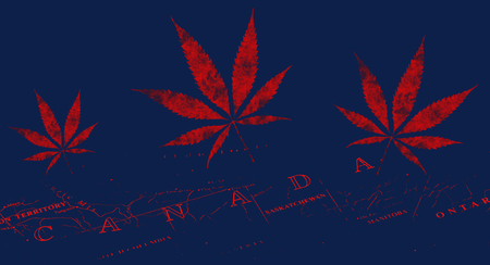 Cannabis in Canada: legalisedの写真素材