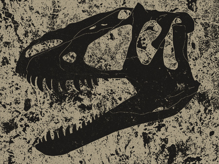 Retro sketch of section of skull of tyrannosaur in rockの写真素材