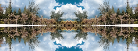 Seamless ornament composed of mirrored exotic palms and calm sea water on sunny day