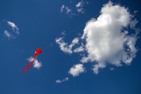 The kite flying in the form of squid flies high in the sky between the cloudsの写真素材