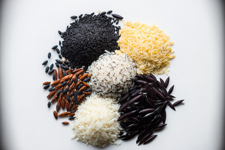 a top view close up or macro of different types and colors of rice on a white backdrop, including black, basmati, Thai red mixed, Jasmine brown, and white glutinous rice. concept of healthy food. Layの素材