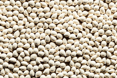 background of a stack of white sesame seeds, top viewの素材