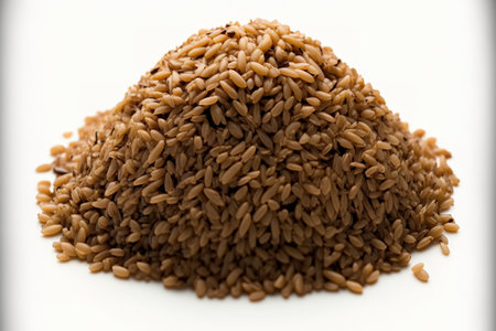 Brown rice pile on a white backgroundの素材