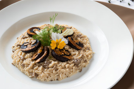 Close up of mushroom risotto on a white platterの素材