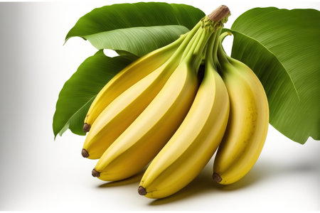 Isolated on a white background, delicious bananasの素材