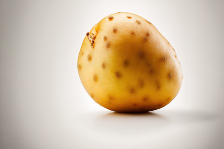 Isolated young potato on white backgroundの素材