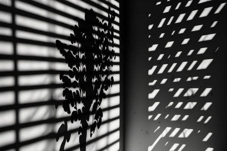 Wall-mounted shadows. Black shadow from the window overlaid with abstract light on a white-textured wall. architecture in the sunlight. summer seasonal concept, backdrop, and mockup for product presentationの素材