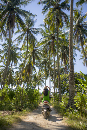 back view of young happy tourist woman with hat riding scooter motorbike in tropical paradise jungle  with blue sky and palm trees exploring trip destination and Summer holidays travel in Asiaの写真素材