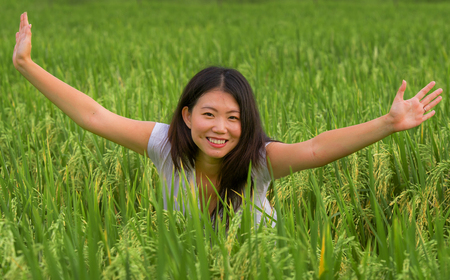 outdoors fresh portrait of young beautiful and happy Asian Japanese tourist girl having fun feeling free at tropical rice field enjoying exotic holidays trip in Asia exploring traditional villageの写真素材