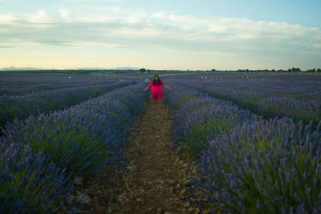 young happy and beautiful Asian Chinese woman in Summer dress enjoying nature free and playful outdoors at purple lavender flowers field in romantic beauty and freedom conceptの写真素材