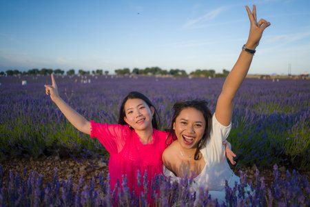young happy and beautiful Asian korean woman playing on lavender flowers field with her hispanic girlfriend enjoying sweet holidays together relaxed and carefreeの写真素材
