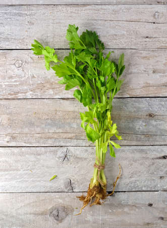 green celery with root on wooden backgroundの写真素材