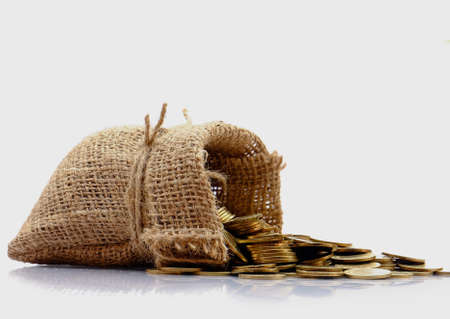 coin in the sack on the white background