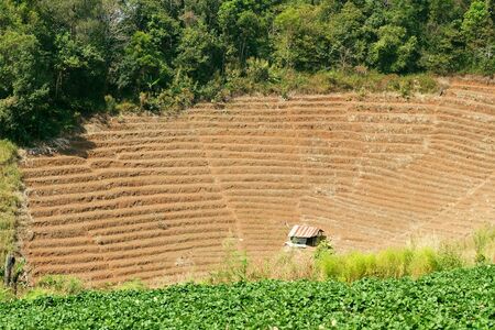 farmer build cottage against the farmlandの写真素材