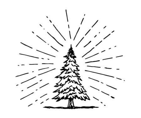 pine tree drawing in doodle style with sun ray surroundingのイラスト素材