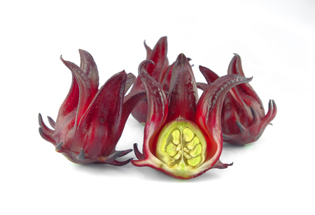 roselle flower on white backgroundの写真素材