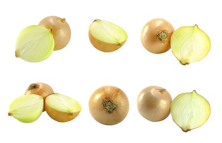 onions isolated bulb collection on white backgroundの写真素材