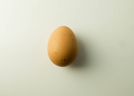 egg on white background with solf shadow
