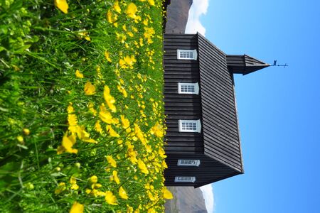 Budir black church surrounded by buttercups under a bright blue sky, Sn fellsnes, Iceland, Europeの写真素材