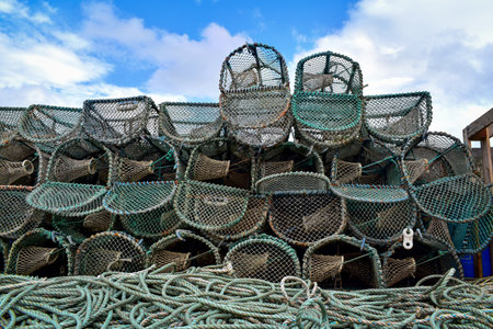 Traditional green lobster pots, crab traps and fishing rope stacked up on the quayside in Tobermory, Isle of Mull, Hebrides, Scotland, United Kingdom, Europeの写真素材