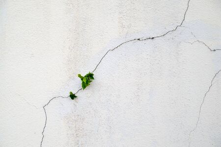 White wall with cracksの写真素材