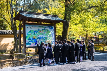 visual educationのeditorial素材